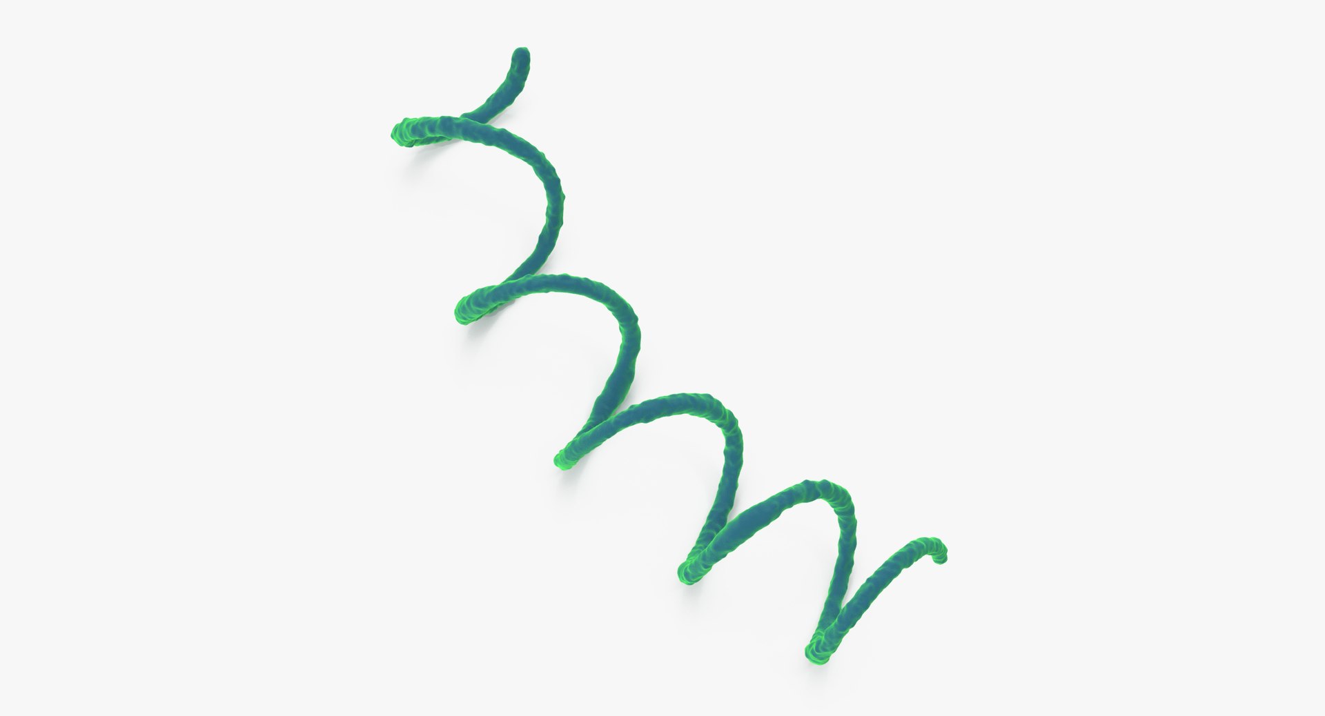 13 viruses virus 3d model https://p.turbosquid.com/ts-thumb/nY/LqPCRs/hUnNv3nq/syphilis_001_thumbnail_0001/jpg/1473431093/1920x1080/fit_q87/318353e72983726dd363a04e24dac8e76e77a143/syphilis_001_thumbnail_0001.jpg