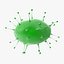 13 virus