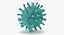 13 virus