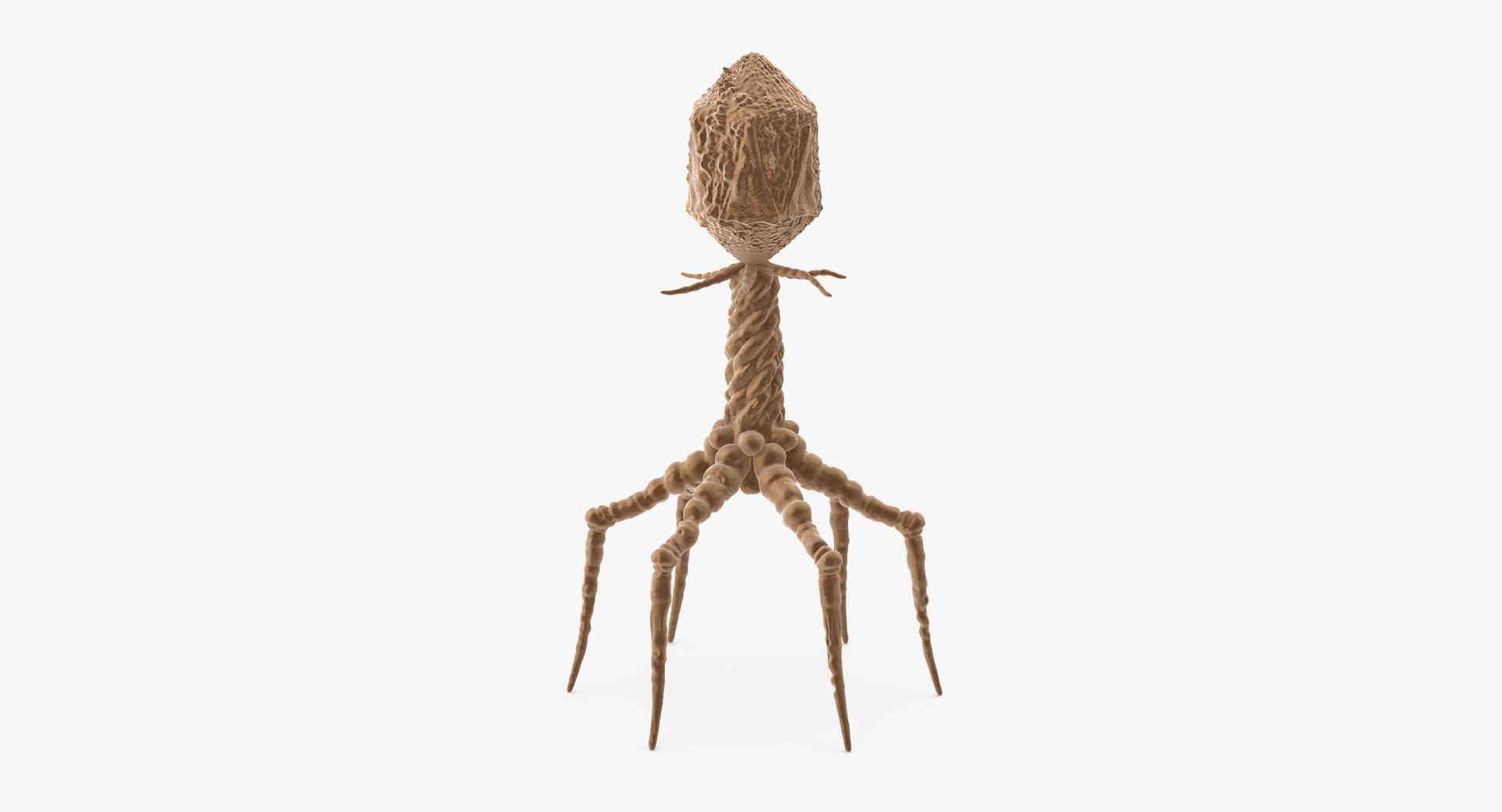 13 viruses virus 3d model https://p.turbosquid.com/ts-thumb/nY/LqPCRs/ixX0BUkw/bacteriophage_001_thumbnail_0006/jpg/1456734336/1920x1080/fit_q87/19ee701d3119a5e3bfe76963b507eef0c4997a57/bacteriophage_001_thumbnail_0006.jpg