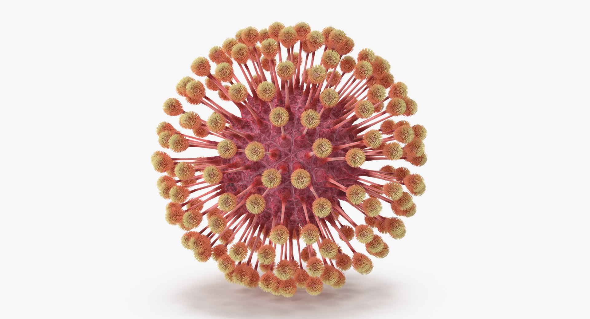 13 viruses virus 3d model https://p.turbosquid.com/ts-thumb/nY/LqPCRs/j6fIFDvj/herpes_virus_001_thumbnail_0006/jpg/1473430282/1920x1080/fit_q87/5d3a160f45759ab5ce180006fe12d96ec98362db/herpes_virus_001_thumbnail_0006.jpg