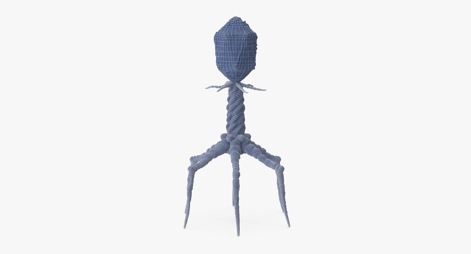 13 viruses virus 3d model https://p.turbosquid.com/ts-thumb/nY/LqPCRs/jYo3K0zs/bacteriophage_001_wireframe_0001/jpg/1456734337/1920x1080/fit_q87/7e5f544f04be3cc383f6db67c49f6c290d2bbe6d/bacteriophage_001_wireframe_0001.jpg