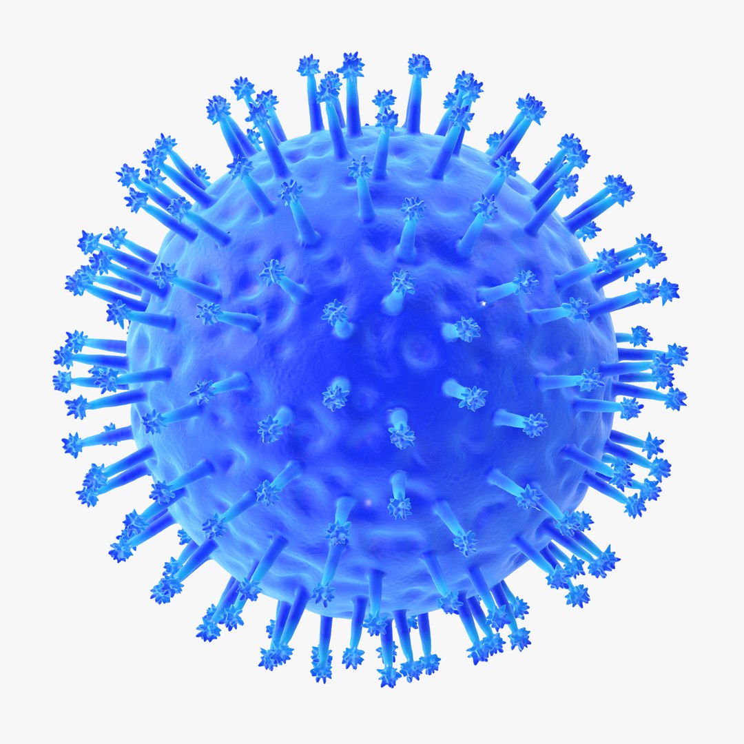 13 viruses virus 3d model https://p.turbosquid.com/ts-thumb/nY/LqPCRs/l3LadnCM/influenza_001_thumbnail_square0000/jpg/1473429691/1920x1080/fit_q87/c421d8267e9d6e6bec561cc7c5bf77dfb01c1a34/influenza_001_thumbnail_square0000.jpg