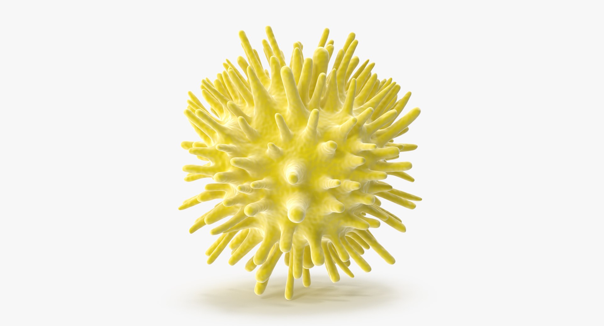 13 viruses virus 3d model https://p.turbosquid.com/ts-thumb/nY/LqPCRs/lphGsKal/hepatitis_c_001_thumbnail_0001/jpg/1473429296/1920x1080/fit_q87/386678e0a39d25102f22f338f7d3b9b07b62aab4/hepatitis_c_001_thumbnail_0001.jpg
