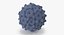 13 virus