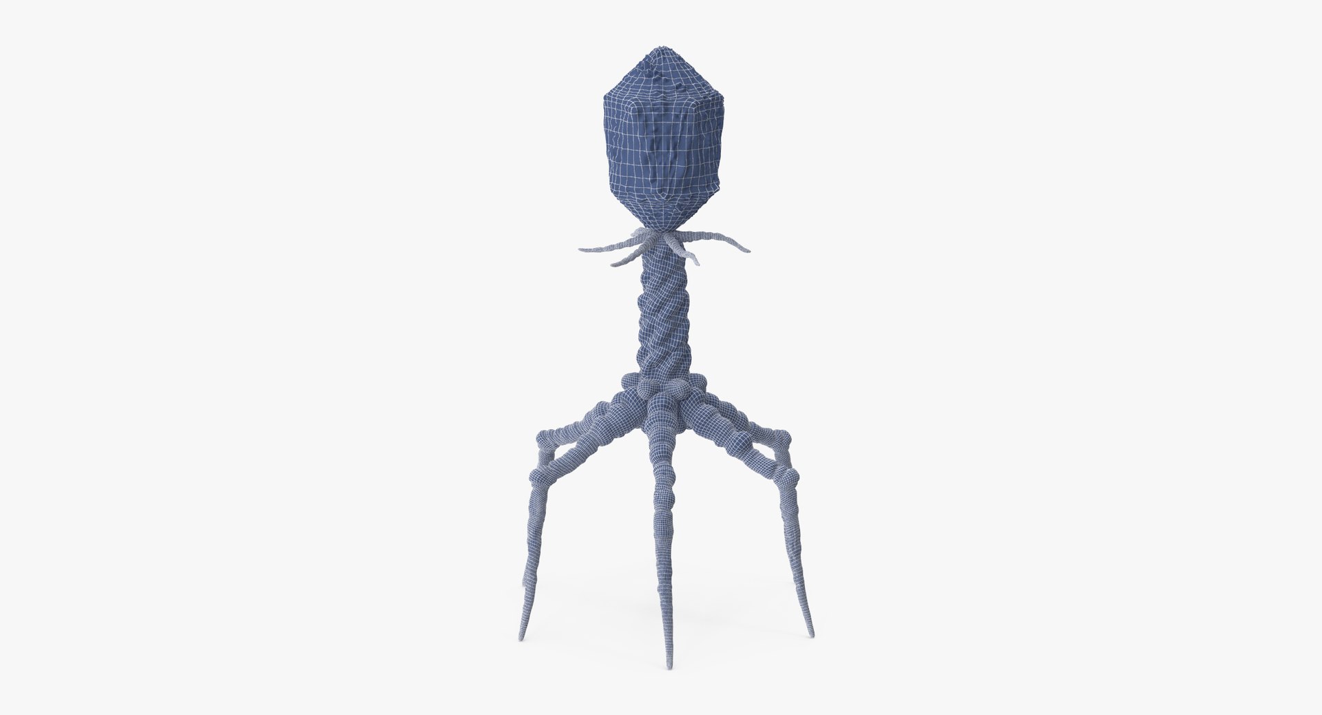 13 viruses virus 3d model https://p.turbosquid.com/ts-thumb/nY/LqPCRs/q6NQzJgv/bacteriophage_001_wireframe_0007/jpg/1456734337/1920x1080/fit_q87/88068c0bd684a137e88d00c1e19aac55c3f92716/bacteriophage_001_wireframe_0007.jpg