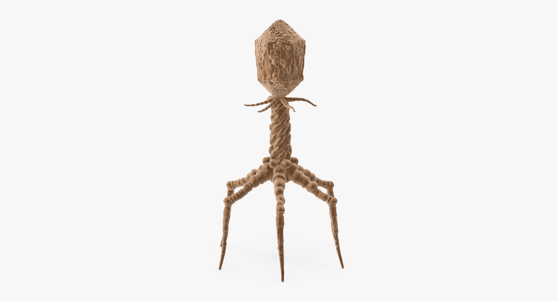 13 viruses virus 3d model https://p.turbosquid.com/ts-thumb/nY/LqPCRs/si5c7wfh/bacteriophage_001_thumbnail_0007/jpg/1456734336/1920x1080/fit_q87/2cfdecf7b45f4aefbbaed9a8a8b5cd6c306004f6/bacteriophage_001_thumbnail_0007.jpg
