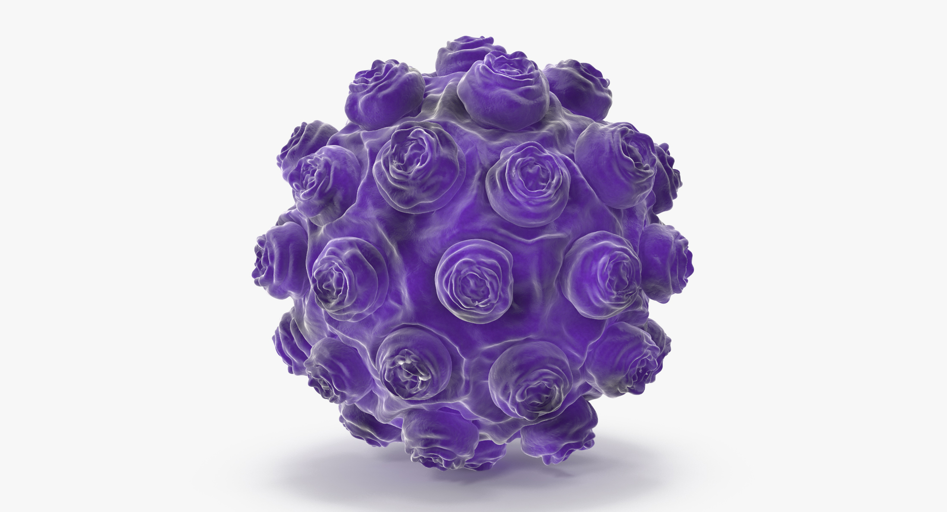 13 viruses virus 3d model https://p.turbosquid.com/ts-thumb/nY/LqPCRs/wfVeXYxc/0000/jpg/1473432870/1920x1080/turn_fit_q99/94db2347d705d76b08cb56721bb8b93201721fc0/0000-1.jpg