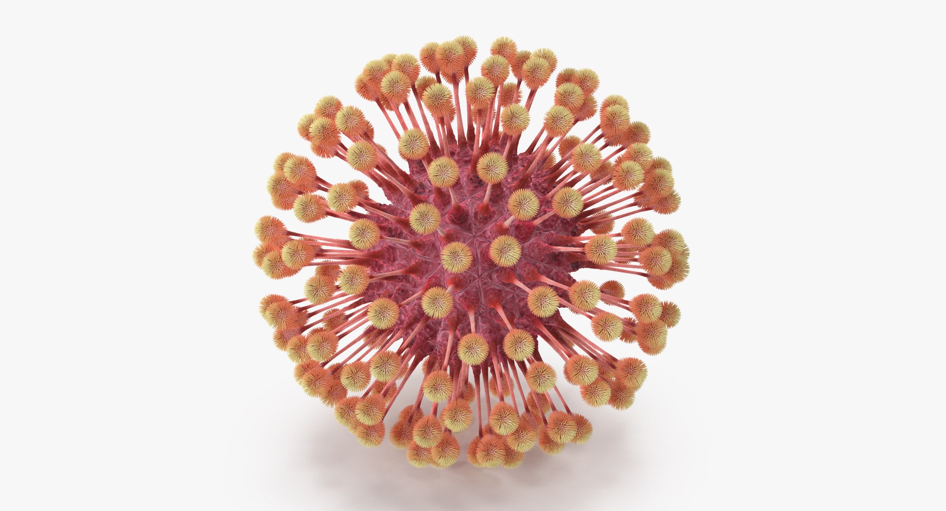 13 viruses virus 3d model https://p.turbosquid.com/ts-thumb/nY/LqPCRs/wjksRBVU/herpes_virus_001_thumbnail_0003/jpg/1473430282/1920x1080/fit_q87/ef4eabedde07d6ed4a211982855d895f1069cdfd/herpes_virus_001_thumbnail_0003.jpg