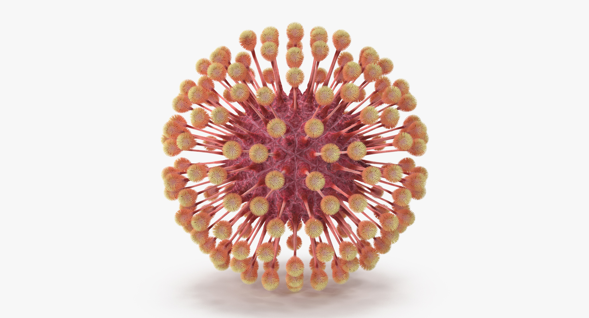 13 viruses virus 3d model https://p.turbosquid.com/ts-thumb/nY/LqPCRs/yghd51Fw/0000/jpg/1473430465/1920x1080/turn_fit_q99/8f8727cba62a67334bc5eb0458ef0ee924ffdc49/0000-1.jpg