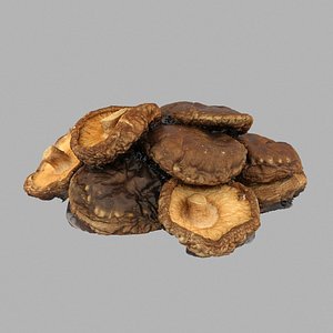 dried shiitake 3D model