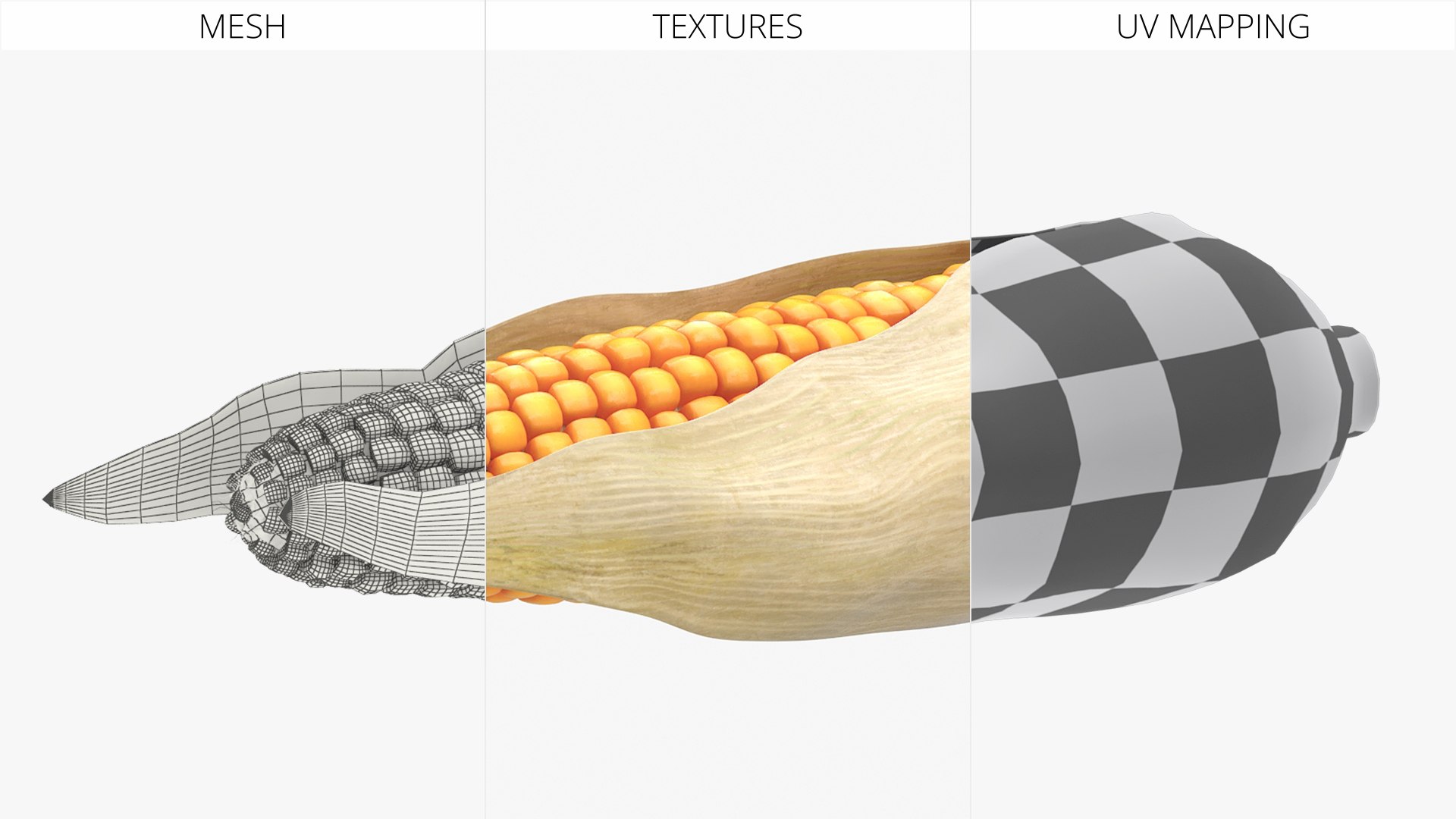 3D Corn Cob in Natural Husk Fur model https://p.turbosquid.com/ts-thumb/nY/T5WFpS/3a/corn_cob_in_natural_husk_fur_006/jpg/1757571504/1920x1080/fit_q87/83d8243437391372567554278d87ea525f23c3f3/corn_cob_in_natural_husk_fur_006.jpg