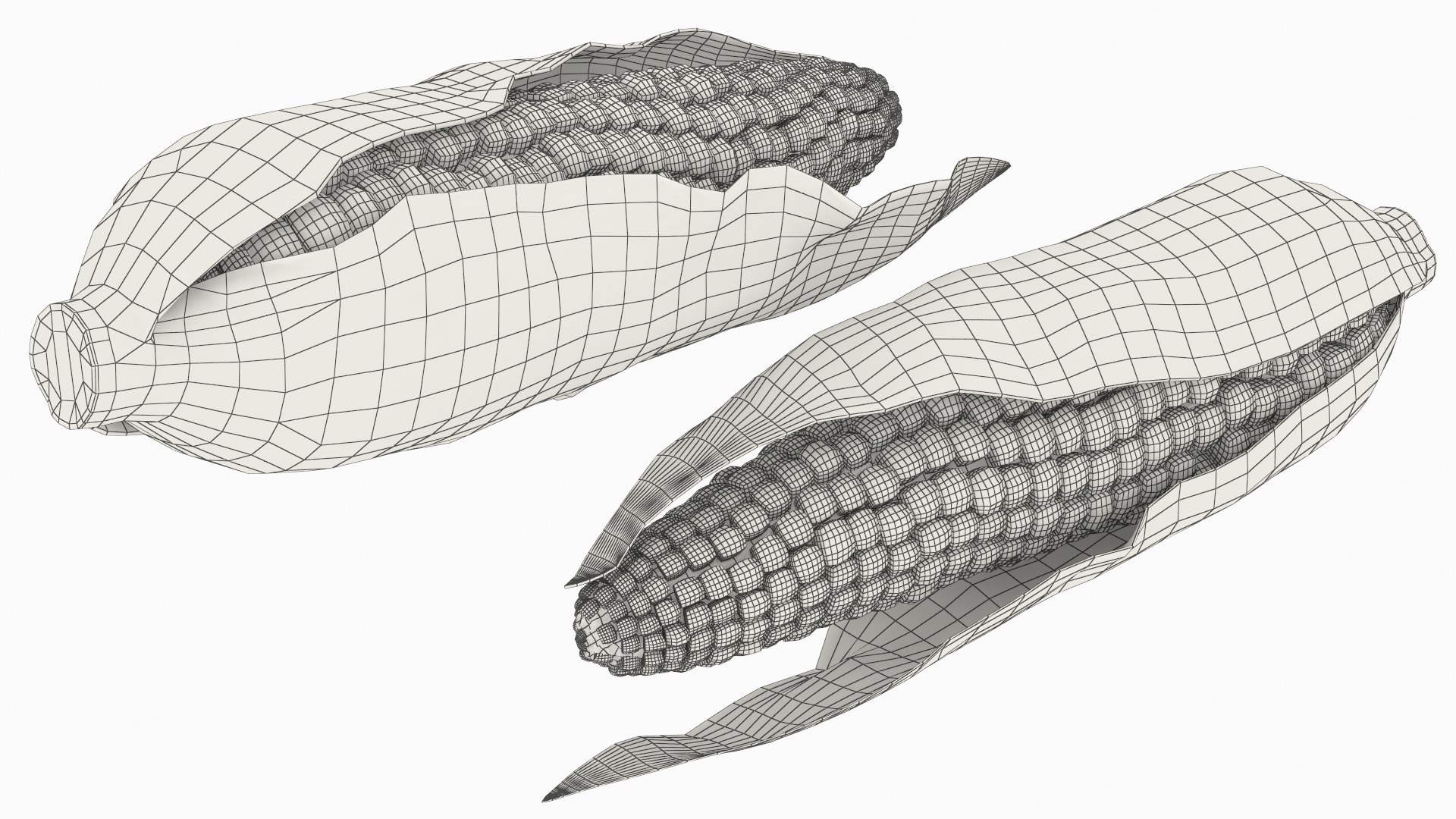 3D Corn Cob in Natural Husk Fur model https://p.turbosquid.com/ts-thumb/nY/T5WFpS/8d/corn_cob_in_natural_husk_fur_009/jpg/1757571514/1920x1080/fit_q87/4ca65dd0293c037d4f377c6eee975e8befedfbe5/corn_cob_in_natural_husk_fur_009.jpg