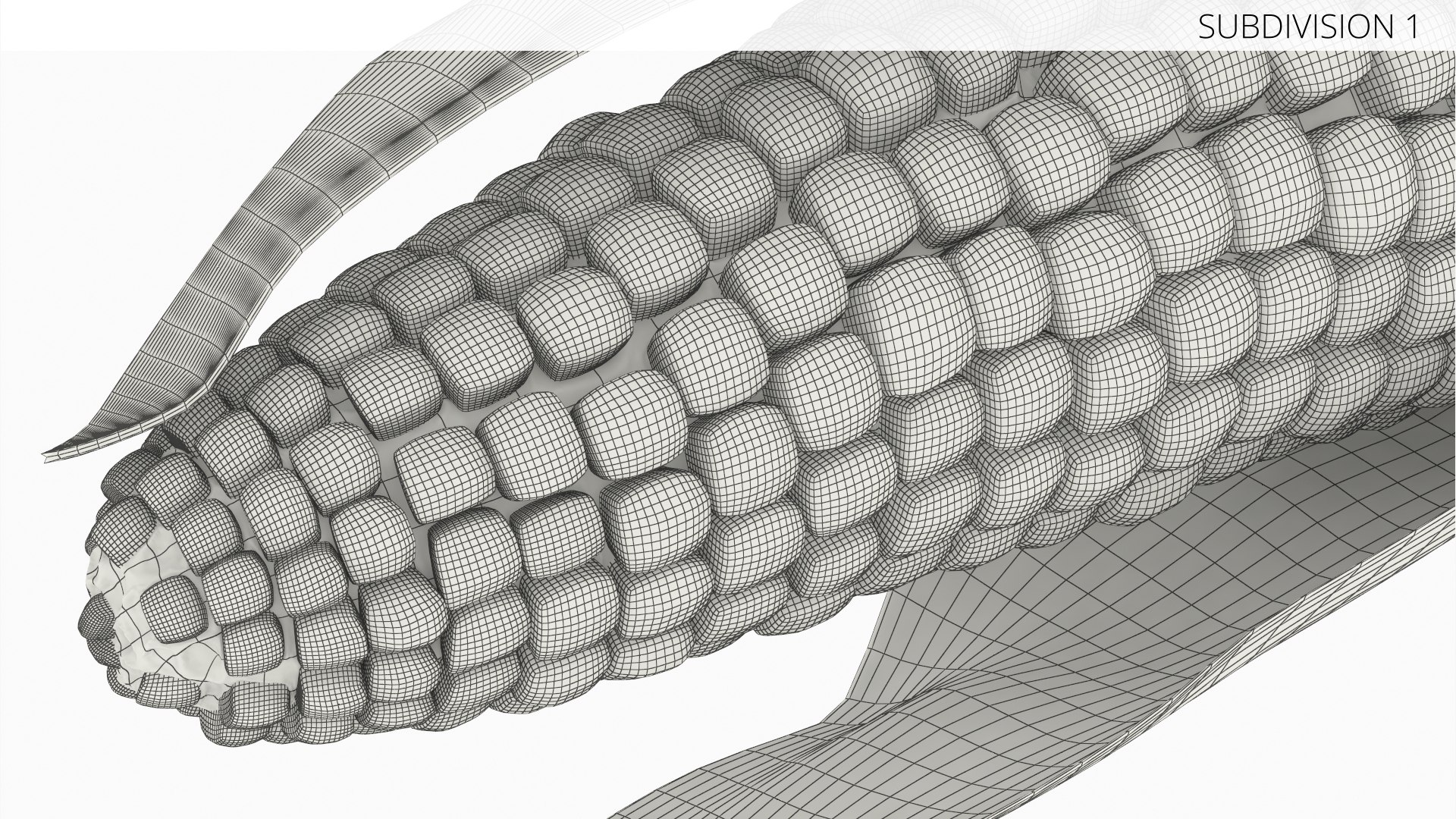 3D Corn Cob in Natural Husk Fur model https://p.turbosquid.com/ts-thumb/nY/T5WFpS/gB/corn_cob_in_natural_husk_fur_008/jpg/1757571510/1920x1080/fit_q87/f34a61883c5d198f8ba59ef6b33d99f822bb9bf3/corn_cob_in_natural_husk_fur_008.jpg