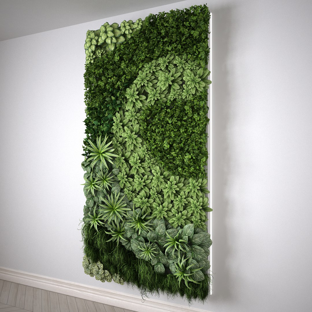 3d model vertical garden meters modul https://p.turbosquid.com/ts-thumb/nY/aZpG0y/e32w601y/_modulo_2_vista_laterale/jpg/1475402634/1920x1080/fit_q87/db7c26df13099a77fe70ea1a64d2b3f6acd2591b/_modulo_2_vista_laterale.jpg
