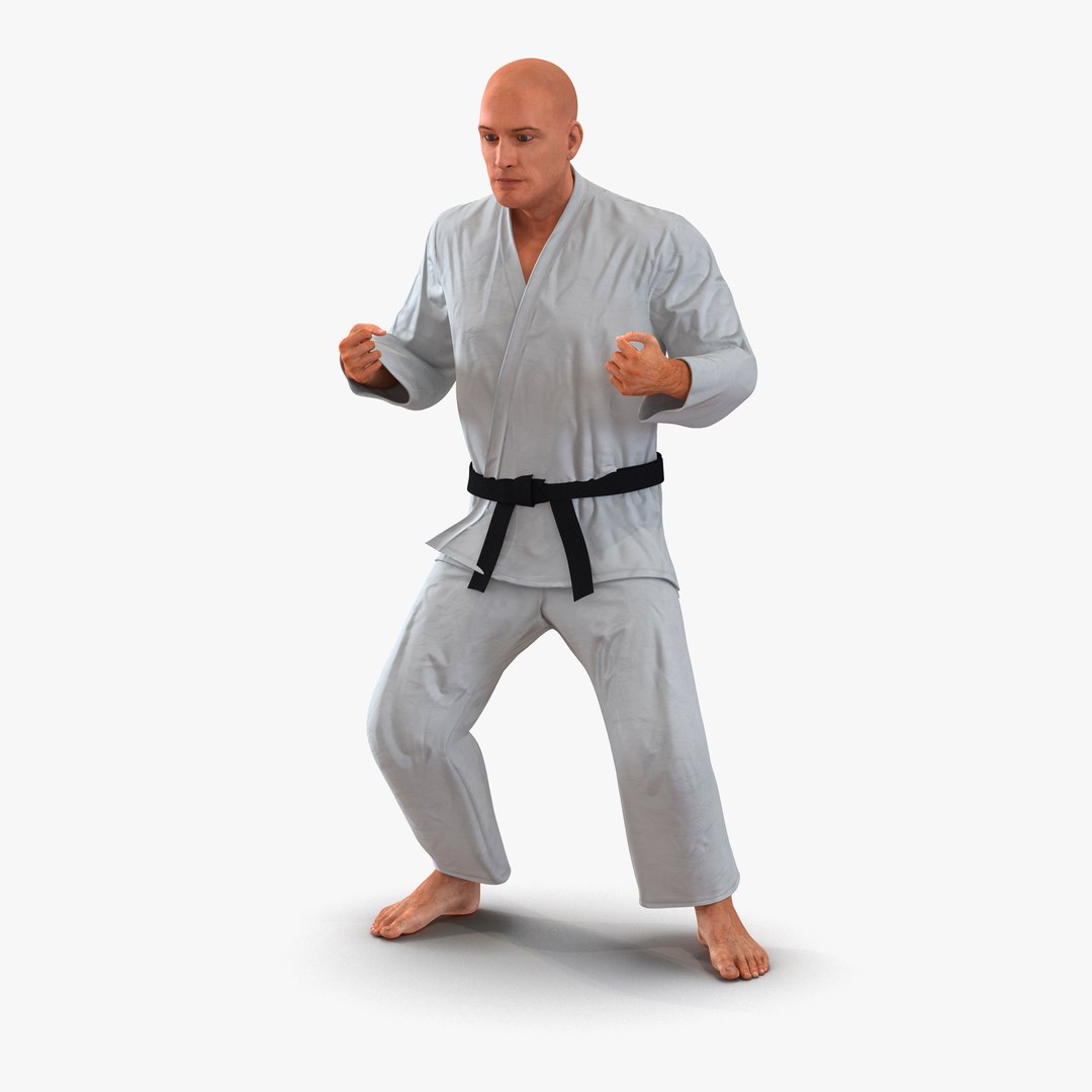Karate Fighter Rigged 3D model preview
