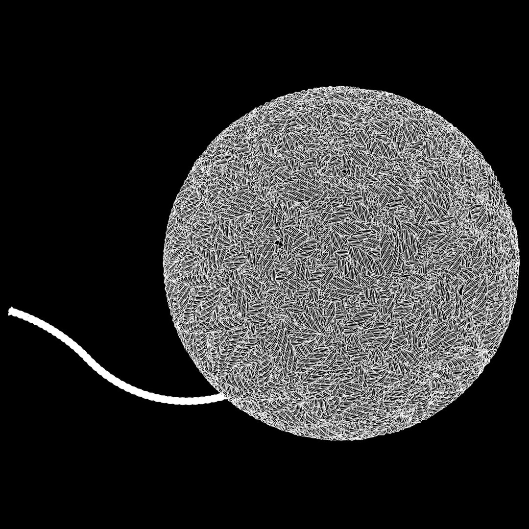 Ball String 3d Model