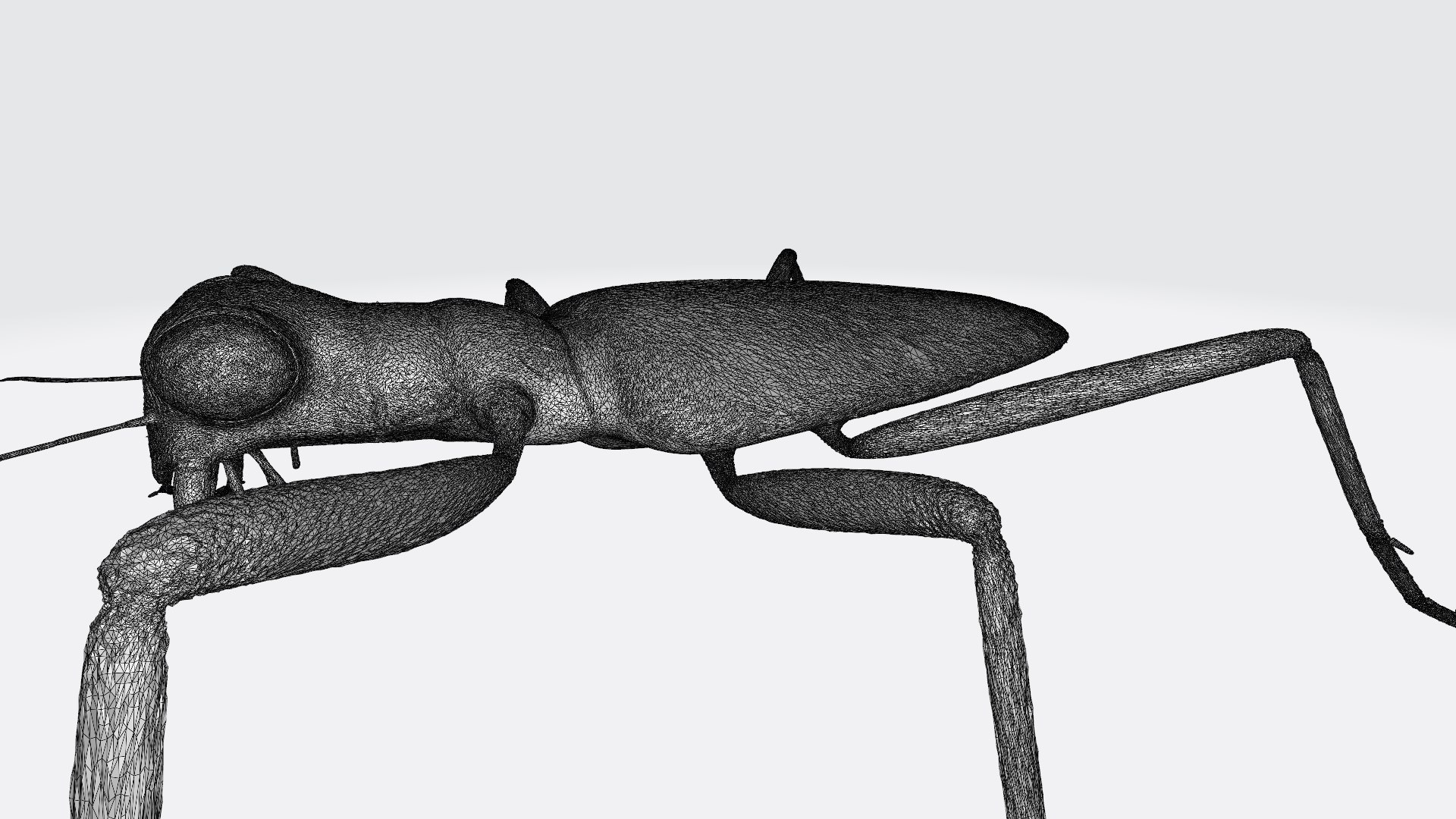 Insects printable 3D model https://p.turbosquid.com/ts-thumb/nY/gkA3Uc/4S/sixspottedtigerbeetle_w2/jpg/1788548524/1920x1080/fit_q87/c0ad2c33394ec7e1e56ff5ca196ba49162c1ba22/sixspottedtigerbeetle_w2.jpg
