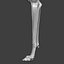Dog Front Leg Highpoly Sculpt