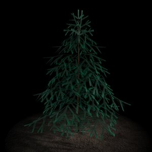 Firtree