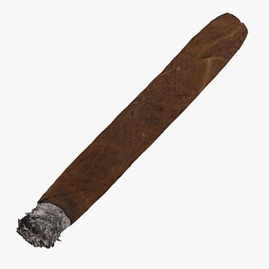 3D Cigar Short Burned 01 RAW Scan