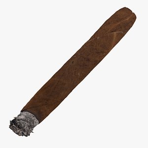Cigar Short Burned 01 RAW Scan