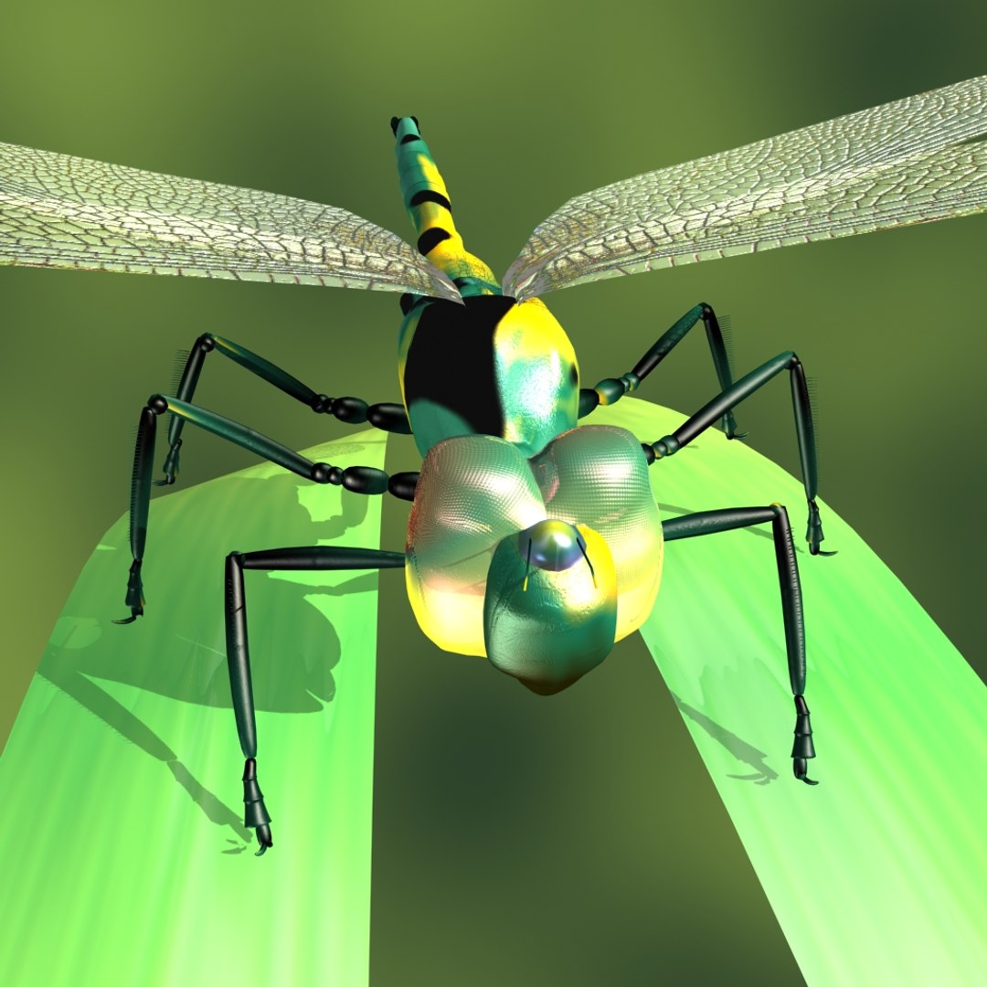 3d model of dragon fly