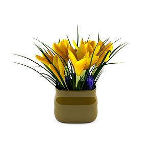 3d model crocus