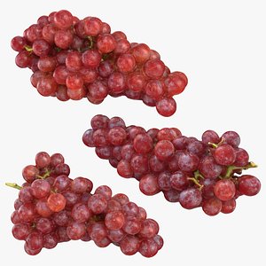 Red Grapes Collection