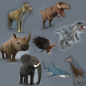 Animal Collection 3D model