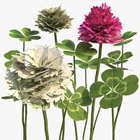 Low Poly Clover Flowers and Leaves Set Green