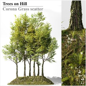 3D model Trees on a Hill