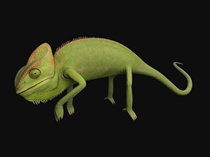 Chameleon