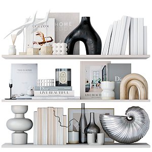 3D Shelves with decor model