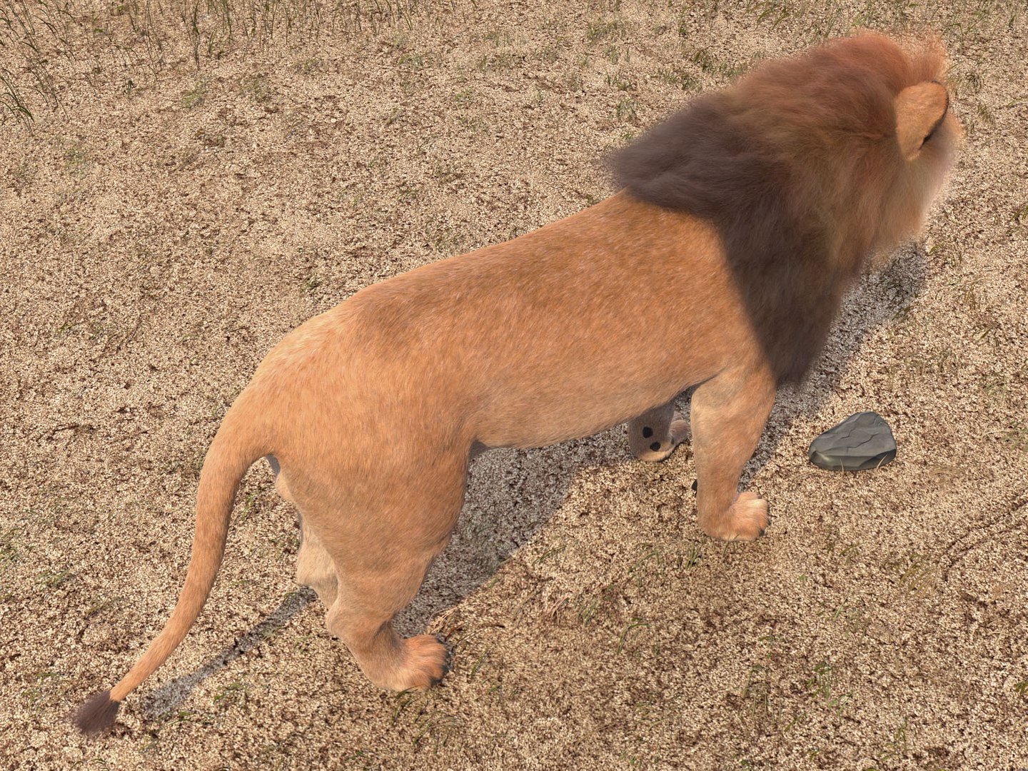 Lion King Hair Fur 3d Model