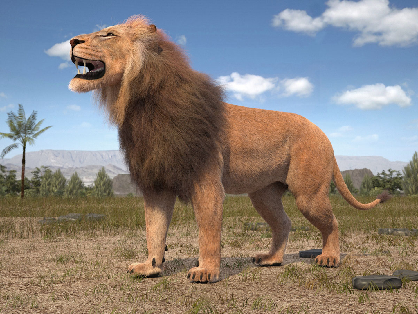 Lion King Hair Fur 3d Model