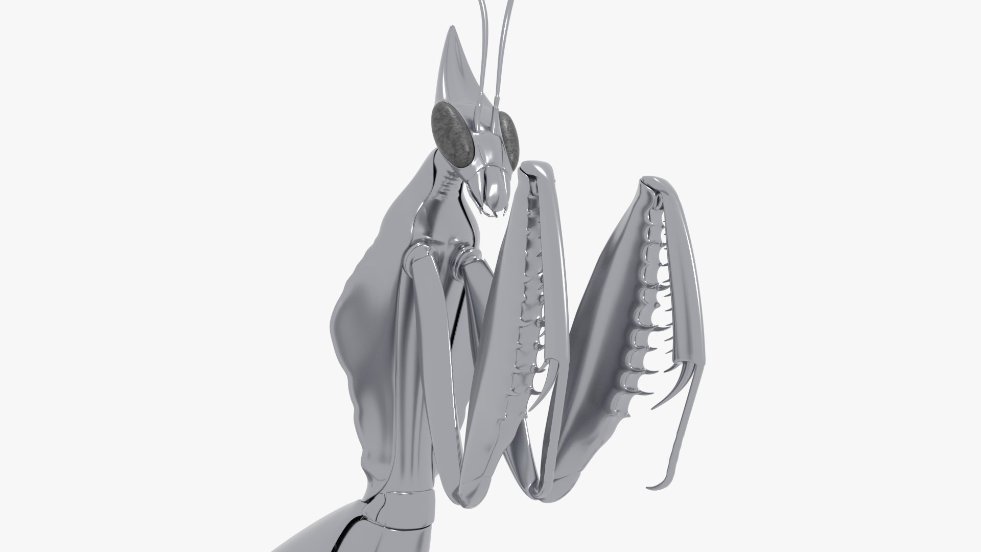 3D model Praying Mantis Robot https://p.turbosquid.com/ts-thumb/nZ/c1oQrT/6x/0016/png/1752140785/1920x1080/fit_q87/6603c3c5eacb2f0f7834f12237548d40d02d0519/0016.jpg