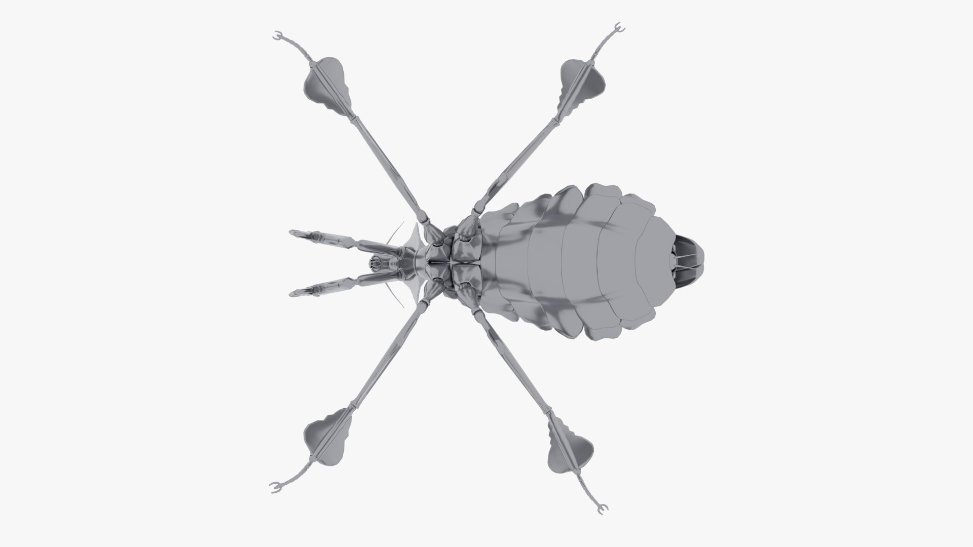 3D model Praying Mantis Robot https://p.turbosquid.com/ts-thumb/nZ/c1oQrT/Cv/0012/png/1752140753/1920x1080/fit_q87/6221fc02d14aa6daf1ed60813757b5d9c4d560d9/0012.jpg