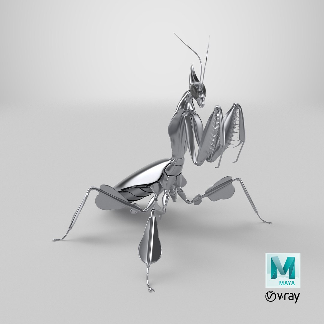 3D model Praying Mantis Robot https://p.turbosquid.com/ts-thumb/nZ/c1oQrT/ay/stemcell_maya_vray_render/png/1768487192/1920x1080/fit_q87/9ed809ce3a2344d85b951120c4b3bf51463f05c3/stemcell_maya_vray_render.jpg