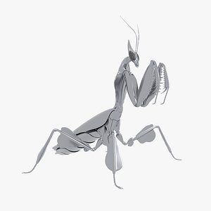 3D model Praying Mantis Robot