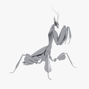 Praying Mantis Robot