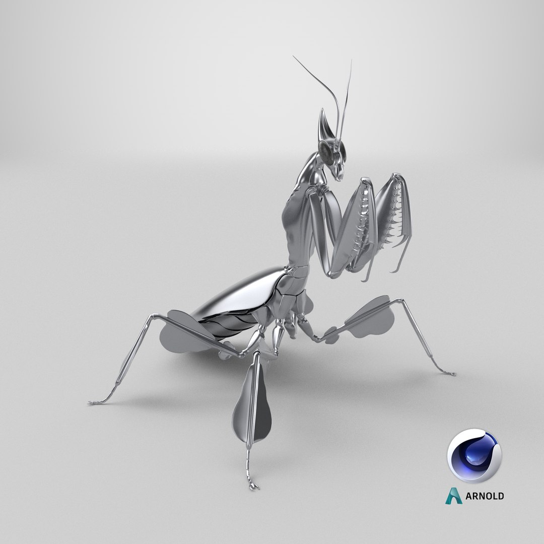 3D model Praying Mantis Robot https://p.turbosquid.com/ts-thumb/nZ/c1oQrT/vw/stemcell_cinema_4d_arnold_render/png/1768487194/1920x1080/fit_q87/dedfb050d9c912abec0dc9cf06ac285012f476f2/stemcell_cinema_4d_arnold_render.jpg
