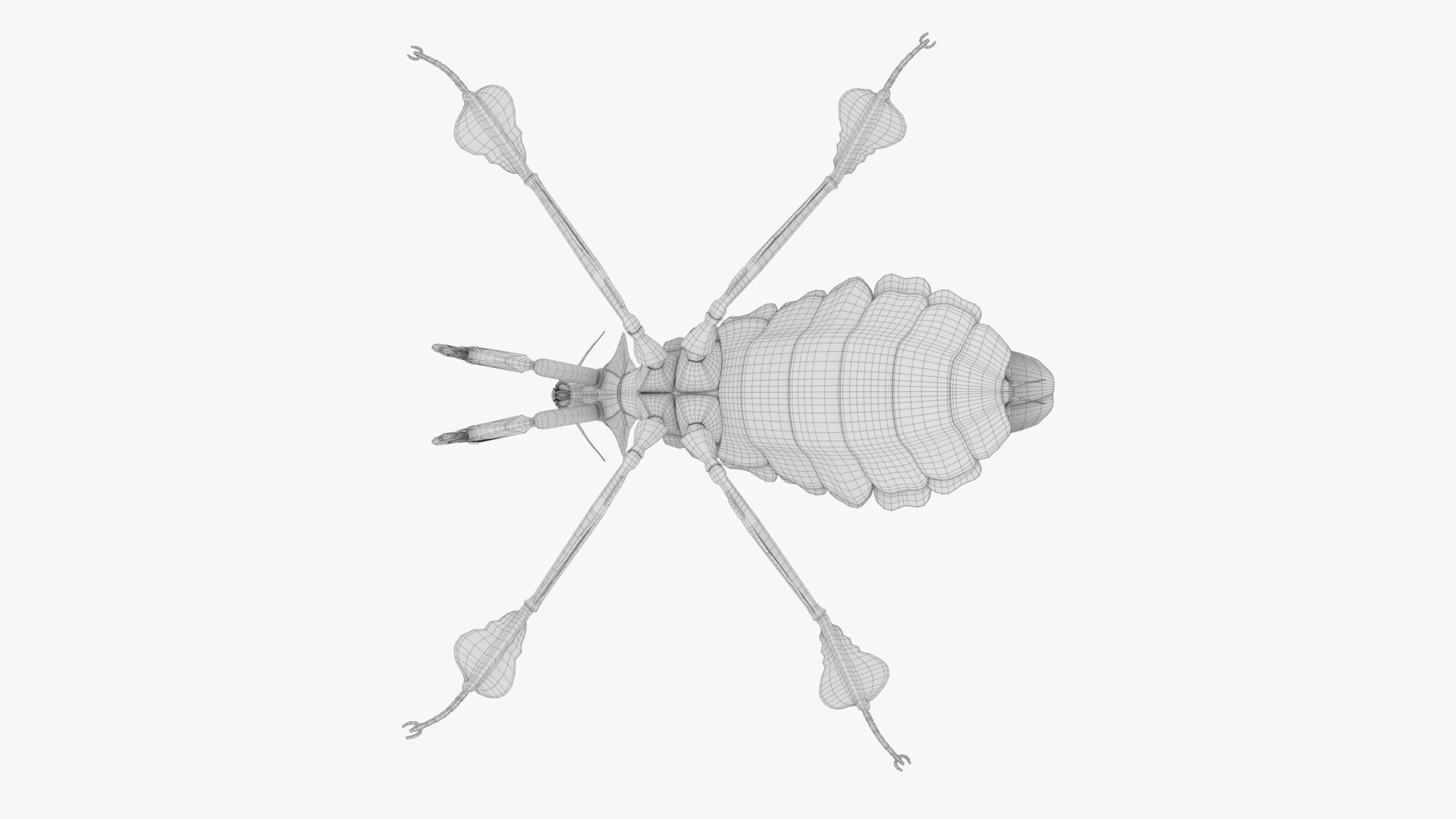 3D Model Praying Mantis Robot - TurboSquid 2431899