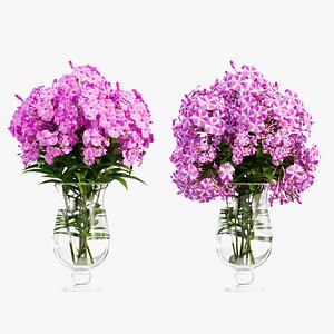 Phlox flowers in a vase 3D