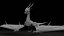 Lowpoly animierter Sturmdrache