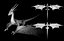 Lowpoly animierter Sturmdrache