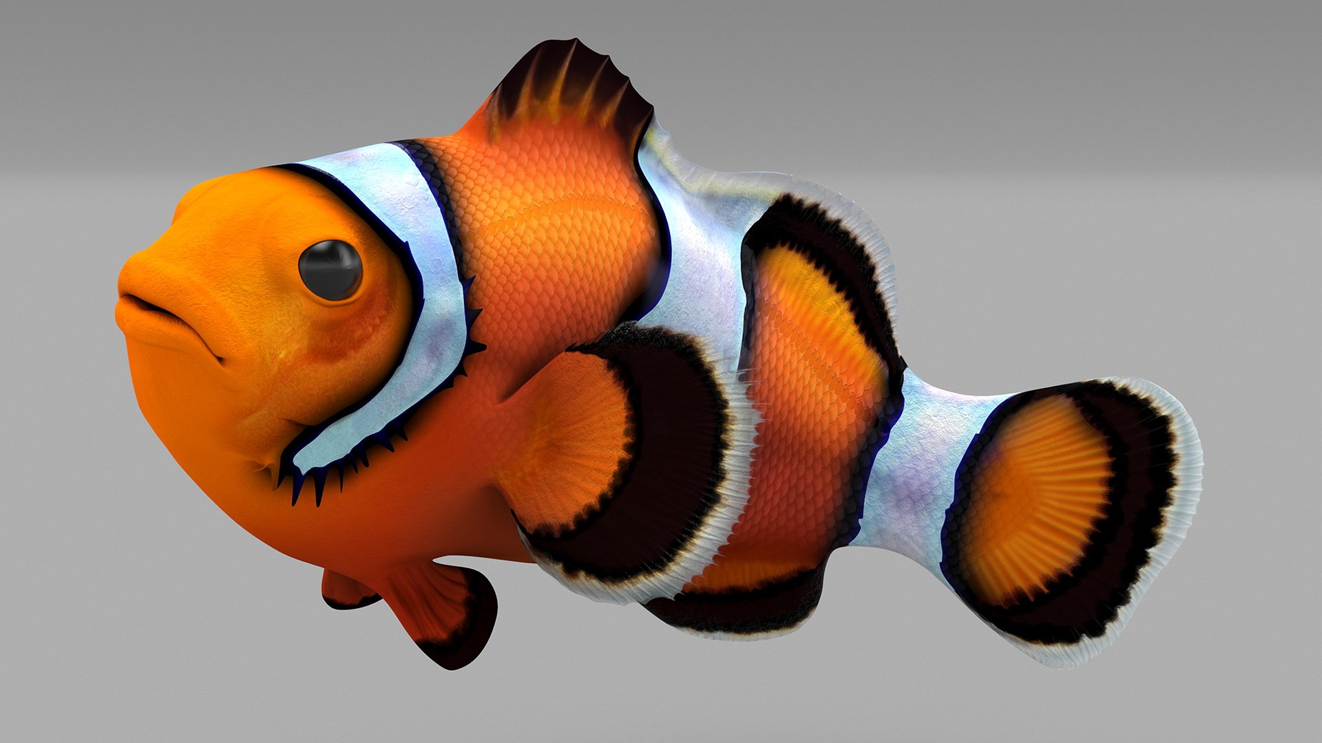 Tropical Clownfish 3D - TurboSquid 2235897