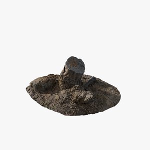 3D Anydrafts Mossy Stump 03