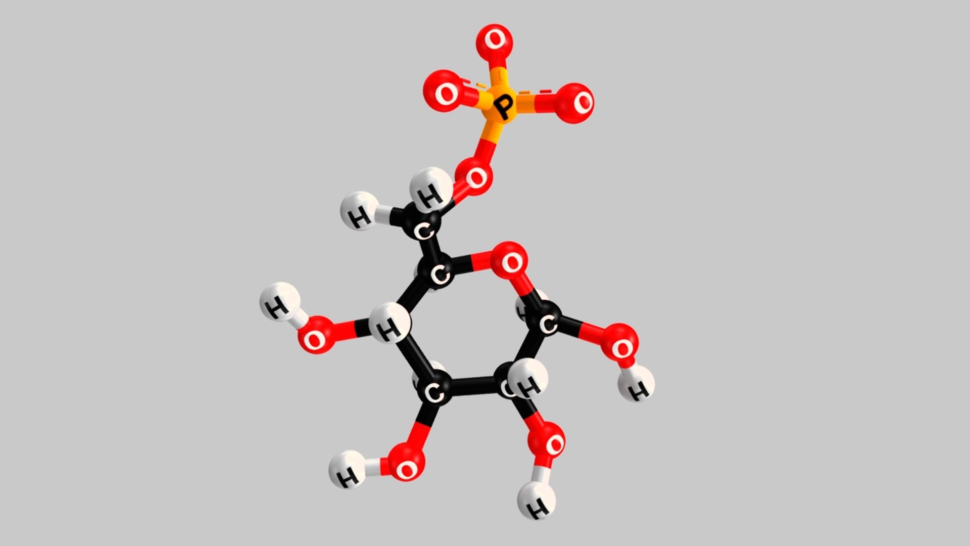 Serum Glucose