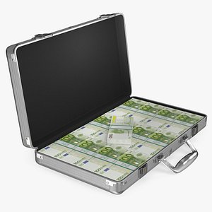 Aluminum Case Full of Euro Money